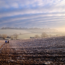 Winter Landscape