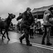  Horse market in Staryszew 