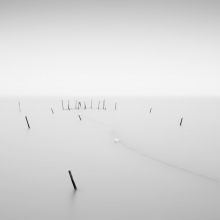 fishing trap V