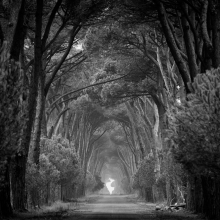 The paths of Tuscany