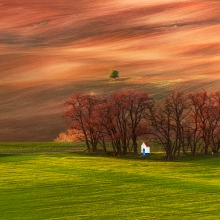 Oasis