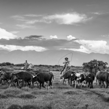 Gaucho Calchaquí - Pialada