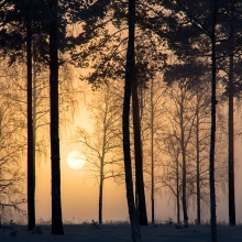 Silhouettes