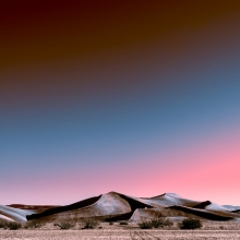 Neon Desert