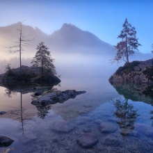 symphony of fog