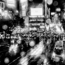 shibuya crossing