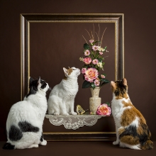 In and out of the frame