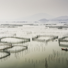 fisherman of Xuiapu china