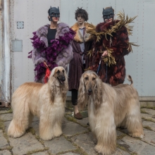 A real story of Fashion Dummy