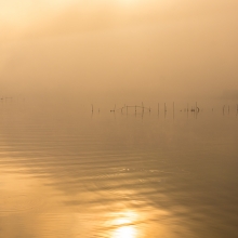 Venice in the Mist