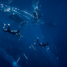 De profundis - an untold story of apnea fishing