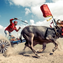 Buffalo Racer