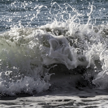 Foam
