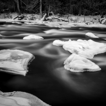 River's Edge Emergent Forms