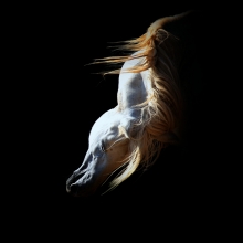 Faramir
