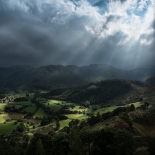 Spotlight