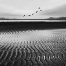 Low tide
