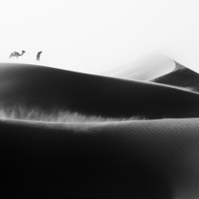 THROUGH THE SANDS
