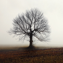Between two seasons